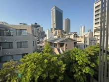 【東京都/港区南青山】ザ・パークハウスグラン南青山高樹町 眺望