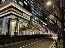 【東京都/千代田区富士見】パークコート千代田富士見ザ・タワー 飯田橋サクラテラス（イルミネーション）（現地より約40m）