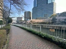 【東京都/品川区北品川】北品川ホームズ 前面道路