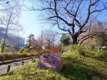 【東京都/新宿区西早稲田】プリンスハイツ西早稲田 戸山公園（現地より約225m）：2022/01/14撮影