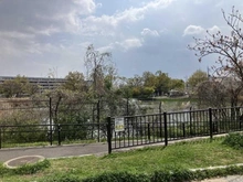 【大阪府/豊中市向丘】ライオンズマンション豊中西緑丘 羽鷹池公園（現地より約350m）：