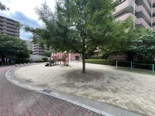 【大阪府/豊中市三和町】ロイヤルコート豊中壱番館 敷地内
