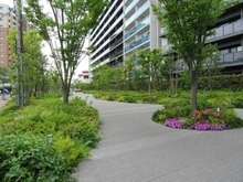 【大阪府/大阪市淀川区三津屋北】シティテラス神崎川駅前 シーズンズテラス棟 敷地内