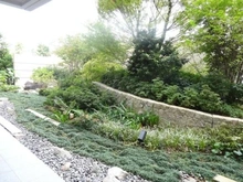 【東京都/東久留米市ひばりが丘団地】ひばりが丘フィールズ1番街 共用部：中庭