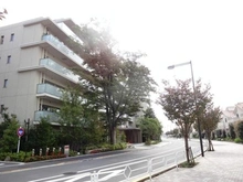 【東京都/東久留米市ひばりが丘団地】ひばりが丘フィールズ1番街 周辺道路（現地より約50m）