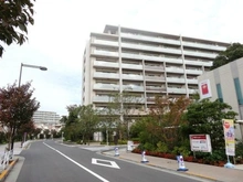 【東京都/東久留米市ひばりが丘団地】ひばりが丘フィールズ1番街 周辺道路（現地より約50m）