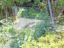 【東京都/西東京市富士町】リビオ東伏見公園 マンション表札