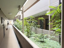 【東京都/練馬区関町北】マイキャッスル武蔵関 共用部