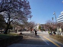 【東京都/台東区根岸】ロメック山手日暮里 日暮里南公園（現地より約240m）：