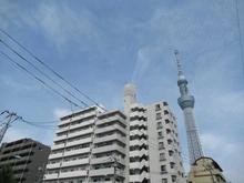 【東京都/墨田区向島】ヴェラハイツ隅田公園 外観
