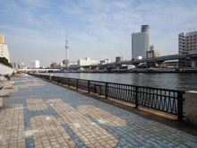 【東京都/台東区柳橋】ザ・パークハウス浅草橋タワーレジデンス 隅田川テラス（現地より約150m）