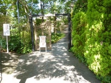 【東京都/荒川区町屋】ハイツ町屋 敷地内