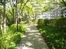 【東京都/荒川区町屋】ハイツ町屋 敷地内