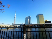 【東京都/台東区浅草】エルフィーノ浅草 隅田川（現地より約300m）