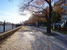 【東京都/台東区浅草】エルフィーノ浅草 区立隅田公園（現地より約130m）