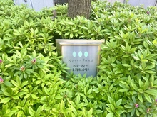 【東京都/台東区松が谷】ネバーランド上野松が谷 マンション表札