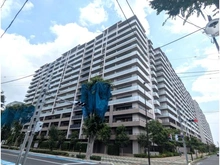 【埼玉県/さいたま市大宮区北袋町】SHINTO CITY（I街区・II街区） D棟 外観