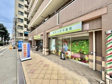 【東京都/八王子市明神町】クリオ京王八王子ビサイド 京王八王子薬局（現地より約5m）：