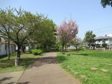 【東京都/日野市万願寺】エスペランサ高幡不動 万願寺中央公園（現地より約650m）：