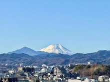【東京都/八王子市旭町】ファミールスクエア八王子 眺望：※ズームあり