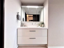 【東京都/昭島市昭和町】レクセルプラザ昭島 洗面所