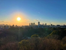 【東京都/文京区本駒込】六義園第六コーポ 眺望