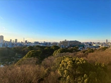 【東京都/文京区本駒込】六義園第六コーポ 眺望