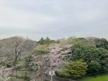 【東京都/北区西ケ原】リッシェル飛鳥山 眺望