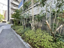 【東京都/北区田端新町】プレシスヴィアラ田端 敷地内
