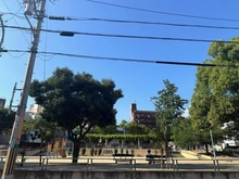【大阪府/大阪市天王寺区寺田町】アトラス天王寺 国分公園（現地より約300m）：