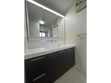 【大阪府/大阪市東住吉区北田辺】エステ・ルミナス北田辺 洗面所