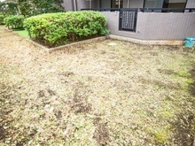 【東京都/大田区仲池上】ハイシティ西馬込 専用庭