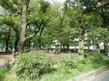 【東京都/大田区大森本町】クリオ大森海岸壱番館  清花公園（現地より約550m）