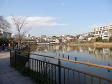【東京都/大田区上池台】ライオンズマンション 洗足池第2  小池公園（現地より約800m）