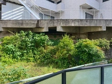 【東京都/品川区北品川】ユニーブル御殿山南 バルコニー