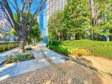 【東京都/港区東新橋】東京ツインパークス　レフトウイング  マンション前緑道（現地より約1m）：