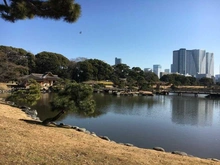 【東京都/港区東新橋】東京ツインパークス レフトウィング 浜離宮恩賜庭園（現地より約20m）：