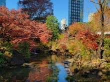 【東京都/港区赤坂】パークコート赤坂檜町ザタワー 檜町公園（現地より約60m）