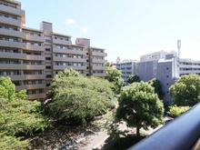 【神奈川県/横浜市中区本牧原】パークシティ本牧 A棟 眺望
