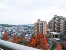 【神奈川県/横浜市都筑区南山田】港北パークヒルズ壱番館 眺望