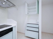 【神奈川県/横浜市中区日ノ出町】ミオカステーロ横濱野毛山公園 キッチン