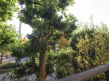 【神奈川県/横浜市中区新山下】新山下ベイシティ 6号棟 眺望