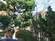 【神奈川県/横浜市中区新山下】新山下ベイシティ 6号棟 眺望