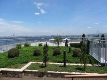 【神奈川県/横浜市中区山下町】グランブリエ横濱山下公園 共用部