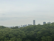 【神奈川県/横浜市中区滝之上】根岸台第一マンションズ 眺望