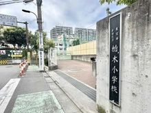 【東京都/新宿区北新宿】ヴェラハイツ新宿 新宿区立柏木小学校（現地より約160m）