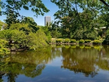 【東京都/新宿区四谷】クラッシィタワー新宿御苑 新宿御苑（現地より約130m）