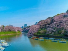 【東京都/新宿区富久町】富久クロスコンフォートタワー 千鳥ヶ淵（現地より約3,210m）