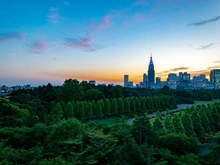 【東京都/新宿区南元町】ガーデンヒルズ四ツ谷迎賓の森 新宿御苑（現地より約1,720m）