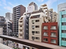 【東京都/新宿区新宿】藤和ハイタウン新宿 眺望